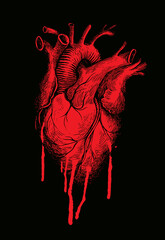 Fototapeta horror vector banner with a red human heart and streaks of blood on a black background. suitable for the design of t-shirts, tattoos, posters with a big bloody heart close up