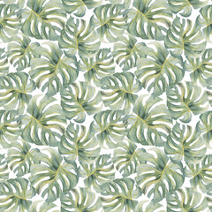 Wall Mural - Monstera leaf. Tropical exotic green seamless pattern. Watercolor hand made colorful print. On white background. For textile, wrapping paper, backgrounds.