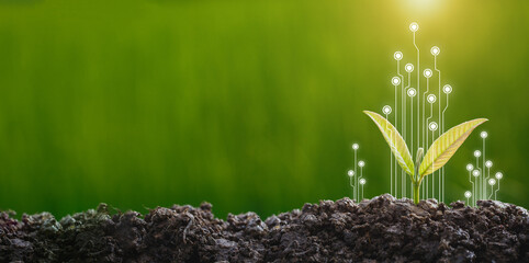 csr concept and business planting, sustainability of business concept