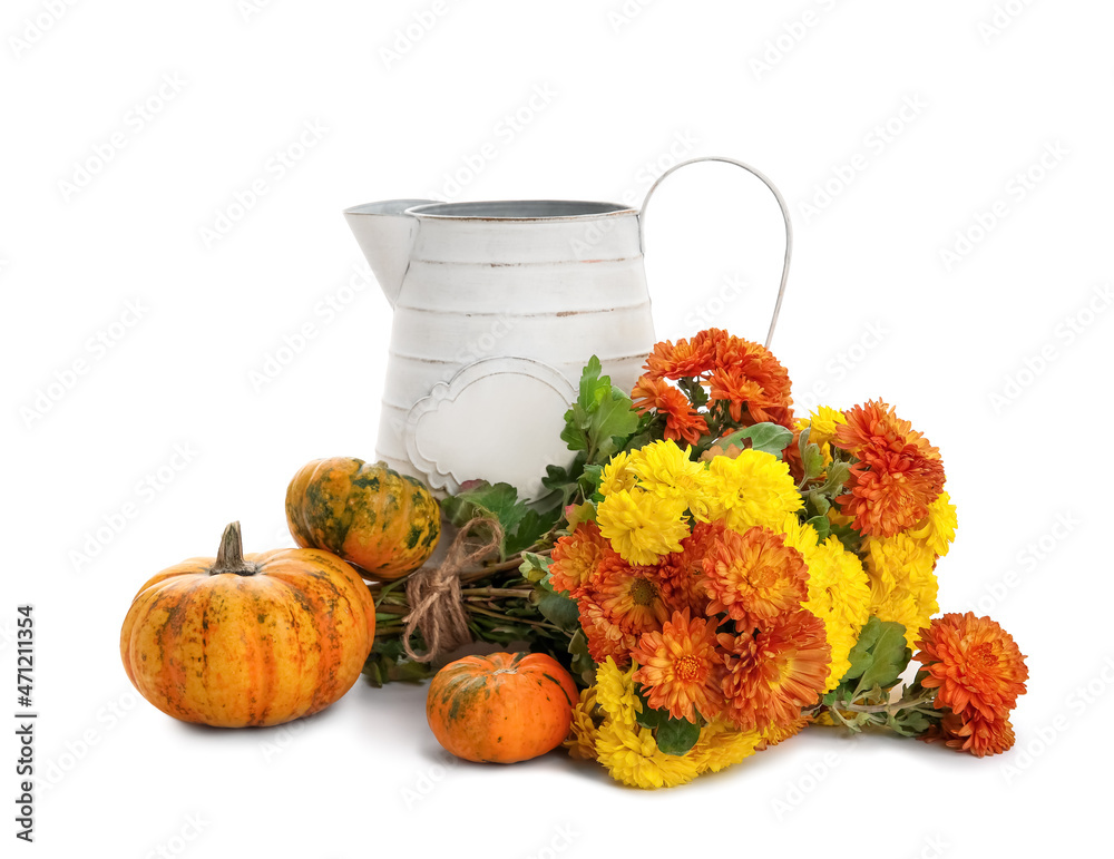 Watering can with beautiful Chrysanthemum flowers and pumpkins on white background