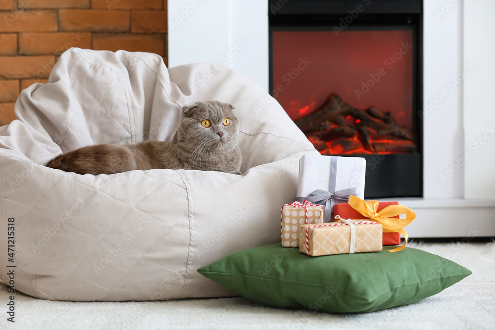 Cute Scottish Fold cat near fireplace on Christmas eve