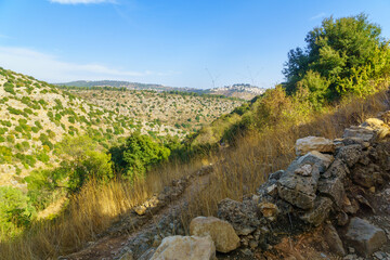 Wall Mural - Mountains and valleys landscape in the Amud Stream Nature Reserve