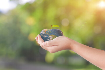 Canvas Print - hand holding apple fruit of globe, earth over green bokeh background. elements of this image furnish