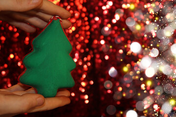 Wall Mural - beautiful green Christmas tree is lying on your hand on a shiny background