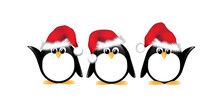 Christmas Penguins Isolated On White Background. Penguins Wearing Santa Hats. EPS10 Vector Format. 