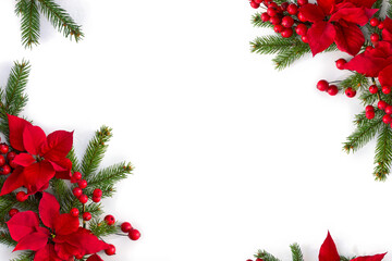 Wall Mural - christmas decoration. frame of flowers of red poinsettia, branch christmas tree, red berries on whit