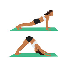 Woman Doing Renegade Row With Downward Dog Tap. Plank To Downward Dog Exercise. Flat Vector Illustration Isolated On White Background