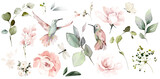 Fototapeta Miasta - Botanic watercolor set with flowers and birds, leaves eucalyptus. Pink roses, butterfly and Hummingbird