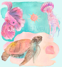 Under Water. Colorful Fish, Jellyfish And Turtle.