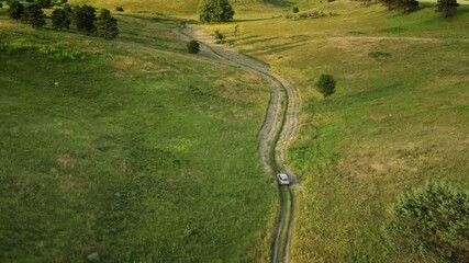 Wall Mural - Car driving rural road in green meadow. Aerial view of car track on green grass field, natural hills and trees around. Rural countryside scene. Wild nature landscape. Travel by car, holiday, tourism