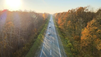 Canvas Print - Aerial view of intercity road with fast driving cars between autumn forest trees at sunset. Top view from drone of highway traffic in evening