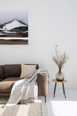Wall Mural - Sofa with blanket and decor in modern living room interior