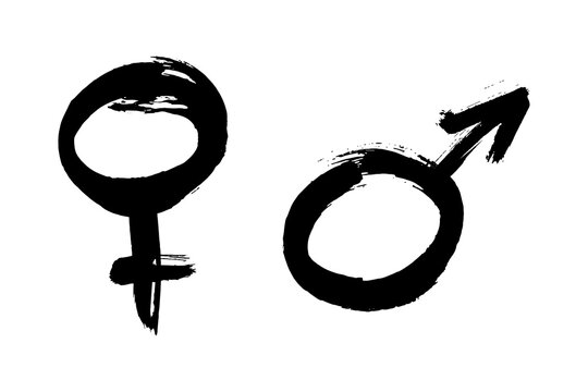 Wall Mural - Hand drawn black ink brush stroke gender symbol. Sexual orientation sign isolated on white background. Female and male grunge icon. Vector illustration