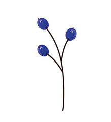 Wall Mural - blueberries branch nature