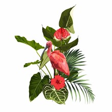 Tropical Invitation, Floral Invite Thank You, Rsvp Modern Card Design. Tropical Bouquet With Exotic Tropical Rainforest Scarlet Ibis Bird And Green Leaves, Palms And Red Flowers.