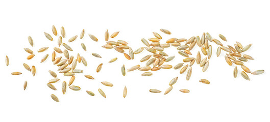 Poster - Raw rye grains isolated on a white background, top view.