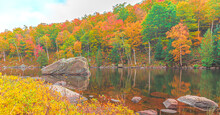 A Colorful Autumn Shoreline
Location:  Upstate New York