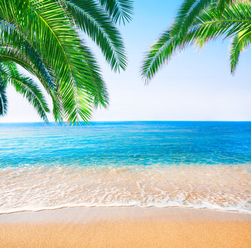 Fototapete - tropical beach with coconut palm