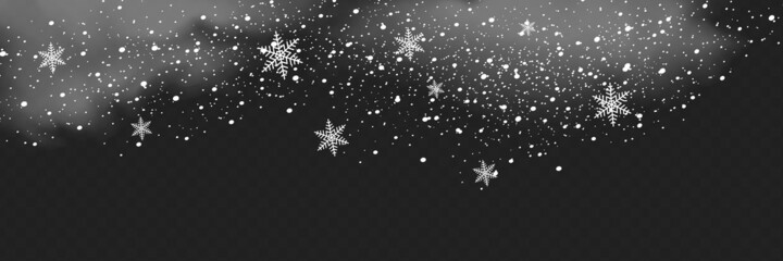 Wall Mural - Snowfall, snowflakes in different shapes and forms. Snowflakes, snow background. Christmas snow for the new year.