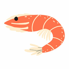 Childrens illustration of a cute shrimp. Hand-drawn orange shrimp. Marine animal.