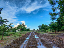 Stock Photo Of Messy Muddy Dirt Road After Heavy Rain With Deep Tire Tracks In The Countryside Area, Road Surrounded By Green Trees And Farmland . Blue Sky And White Clods On Background At Gulbarga.