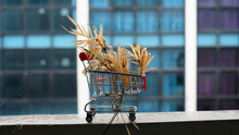 Shopping Cart And Palm Leaf. Shopping Concept, Eco Concept For Recycling