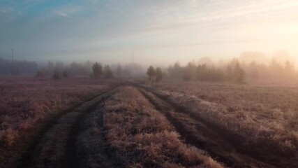 Wall Mural - Cold frosty morning in Autumn. Footage of road through meadow in morning fog lit by rising sun