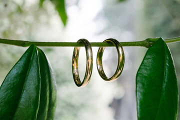 Two beautiful golden wedding rings hang on leaf stem horizontally with blurry bright background