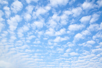 Wall Mural - Sky with multitude small clouds