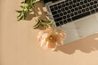 © Floral Deco - Flatlay laptop computer and gentle peony flower casting sunlight shadow on peach background. Top view minimalist aesthetic work, business concept