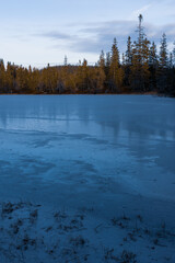 Wall Mural - by a frozen lake in the evening light