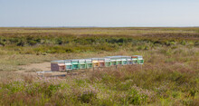 Colored Bee Hives In The Venetian Valley. Artificial Pastel-colored Bee Shelters In The Middle Of The Marsh. 