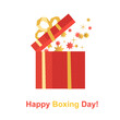 © lana_samcorp - Happy Boxing Day cute minimalist vector icon