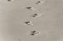 Footmarks On The Sandy Beach.