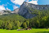 Fototapeta Góry - Bregenzerwaldgebirge in Au / Vorarlberg