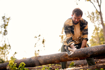 Sticker - logger worker cuts tree in forest using Ax, powerful lumberjack in casual shirt, lumberman engaged in wood working, preparing firewood. woodcutting concept. sawdust from the tree fly off to the sides