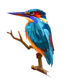 Fototapeta  - hand-drawn bright drawing kingfisher bird sitting on a branch