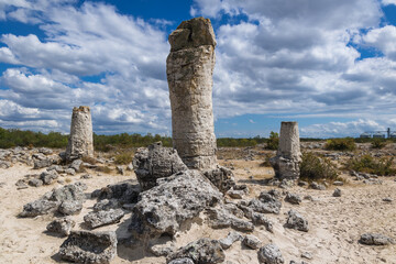 Poster - Stone columns in Pobiti Kamani - natural phenomenon called Stone Forest in Bulgaria