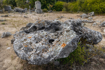 Poster - Close up on a rock in Pobiti Kamani - natural phenomenon called Stone Forest, Bulgaria