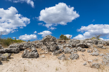 Poster - Rocks in Pobiti Kamani - natural phenomenon also known as The Stone Forest in Bulgaria