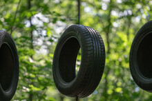 Close-up Of Tire In The Forest