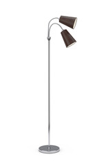 Poster - Cozy Decorative Dual Loft, Living Room, Bedroom, and Office Floor Lamp with Wooden Shade and Chrome Leg. 3d Rendering