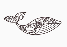 Whale Coloring Book Page For Adult