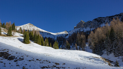 Wall Mural - First snow fallen on the Dolomites. Mountain winter landscape. Rocks and trees sprinkled with snow against the deep blue sky. Walk on the Passo Staulanza, Italy.