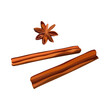 Vector two cinnamon sticks
