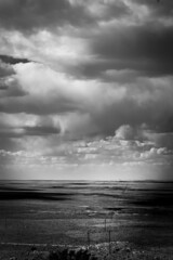 Arizona Landscape in black and white