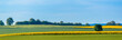 Countryside landscape. Farm with yellow blooming rapeseed field, grass and trees in spring rural scenery. Agricultural background, panoramic view.