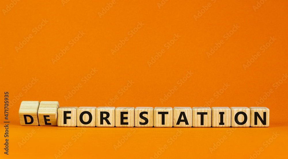 Forestation or deforestaion symbol. Turned wooden cubes and changed the ...