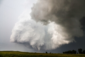 Poster - Tornado