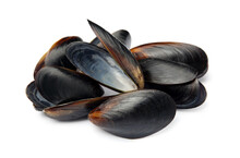 Open Empty Mussel Shells On White Background